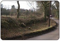 Hedgelaying