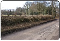 Hedgelaying